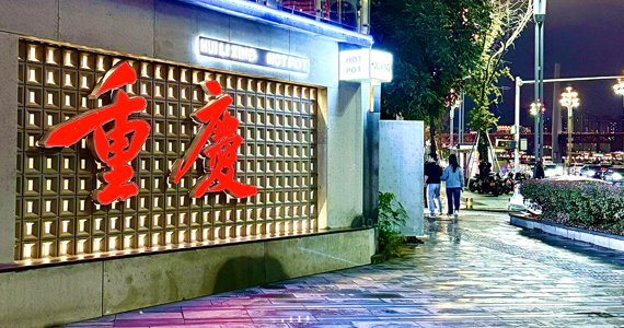 my77738免费域名查询