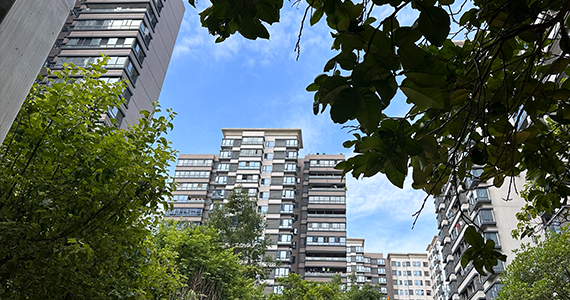 腾讯云域名whois查询