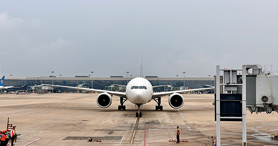 域名whois查询工具软件