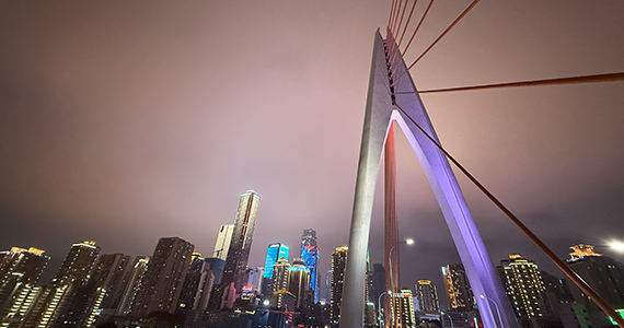 域名查询工具：深入探索互联网的地址簿