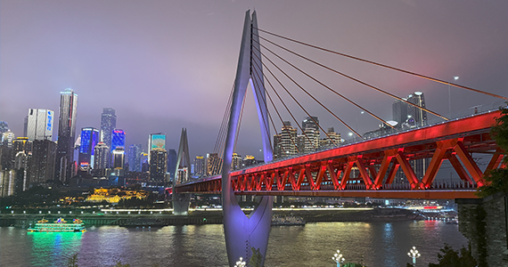 网址whois域名查询