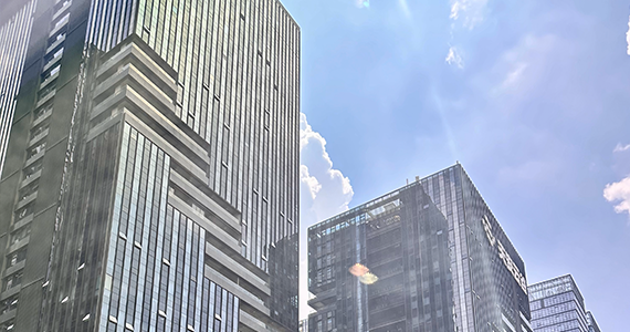 whois查询功能可以通过域名